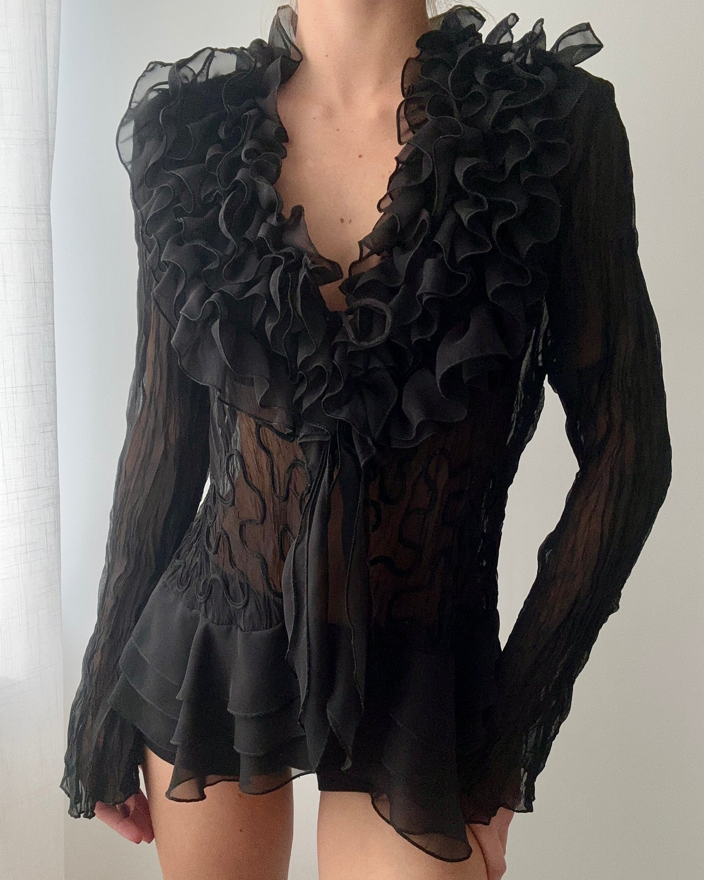 Black Sheer Ruffle Blouse With Embroidery (M)