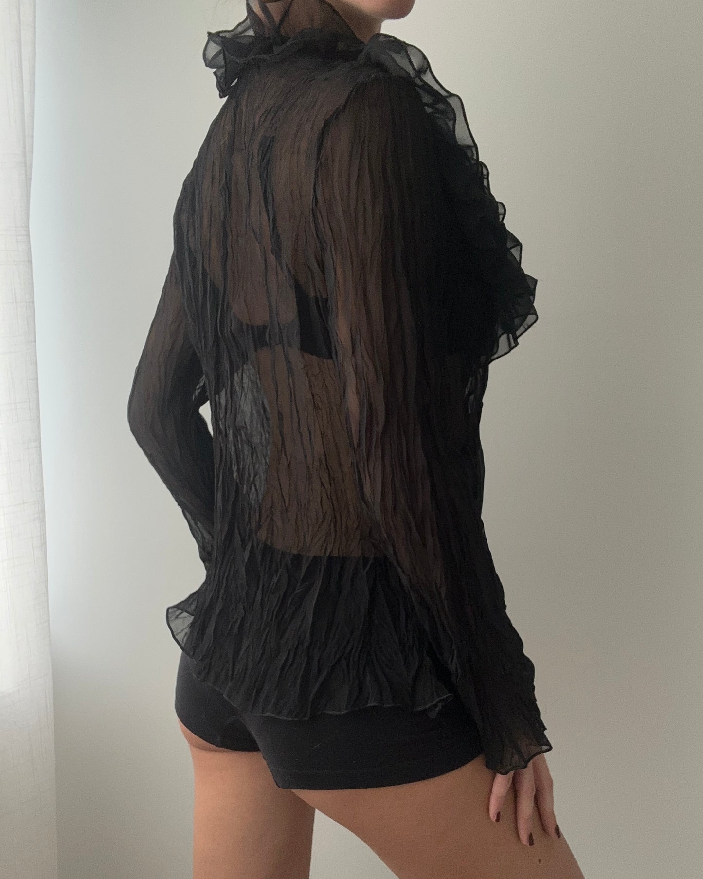 Black Sheer Ruffle Blouse With Embroidery (M)