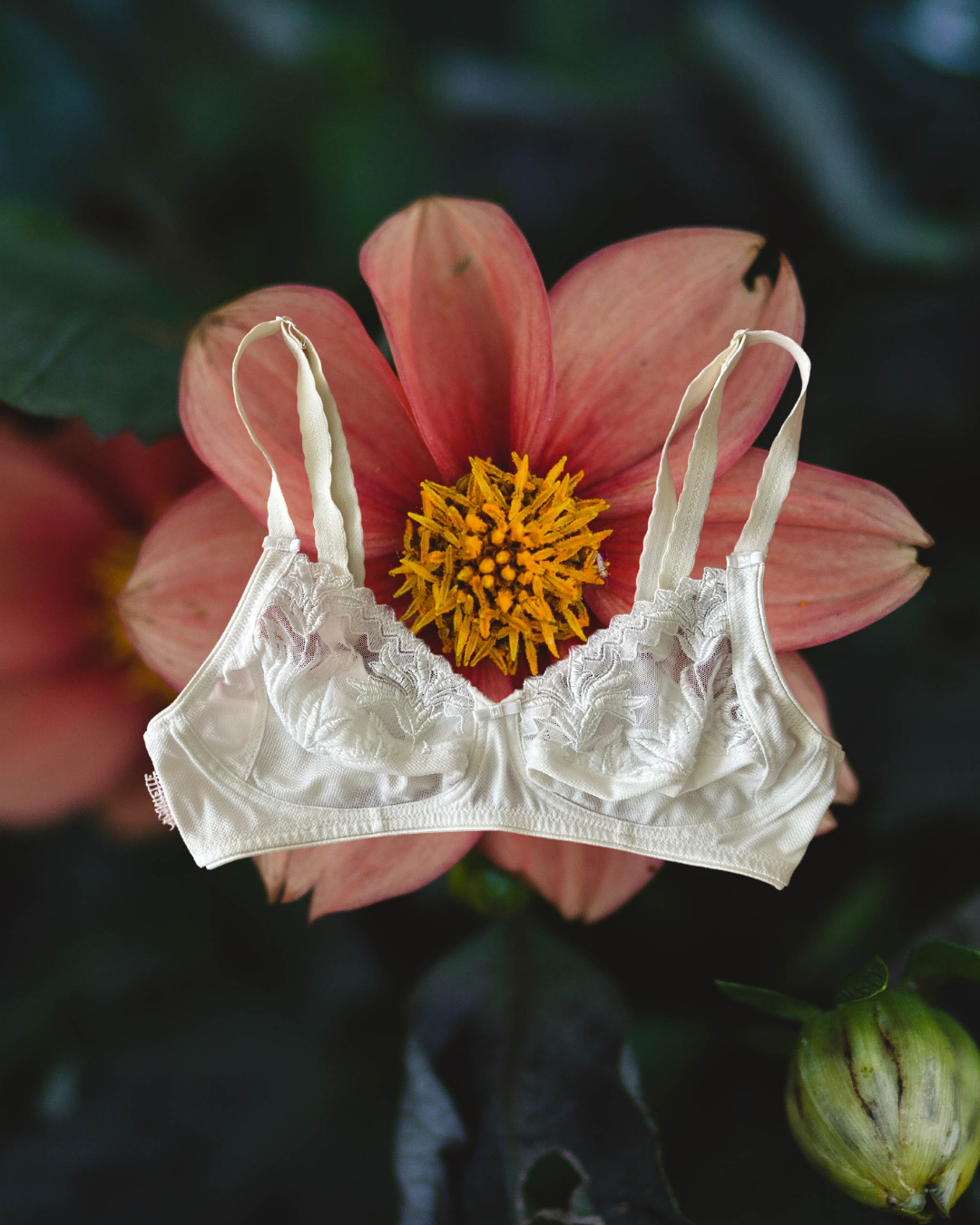 White Triangle Lace Bra 60s Style (75B/34B)