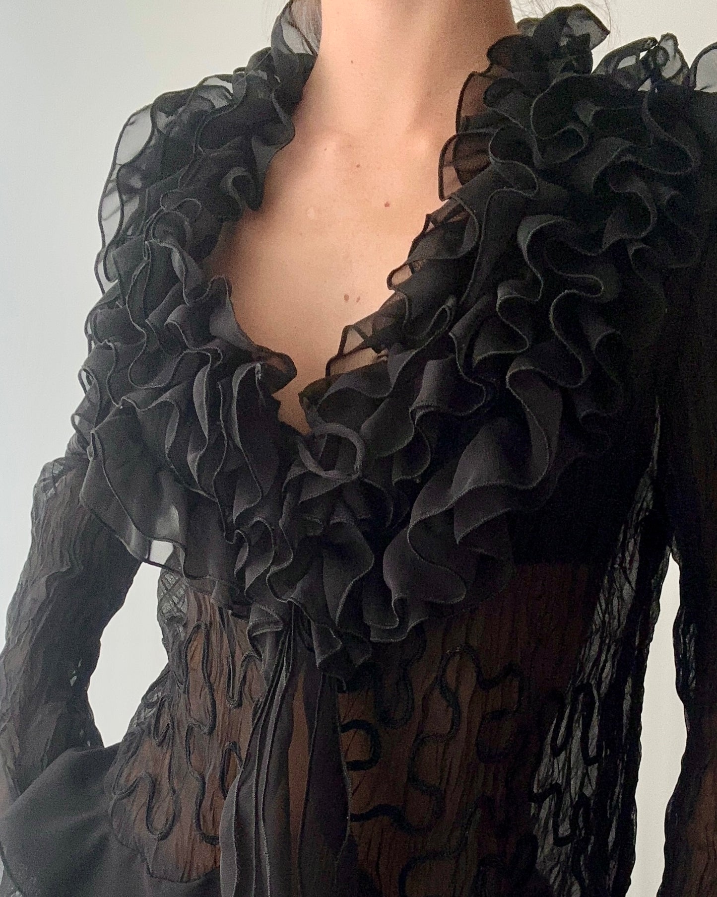 Black Sheer Ruffle Blouse With Embroidery (M)